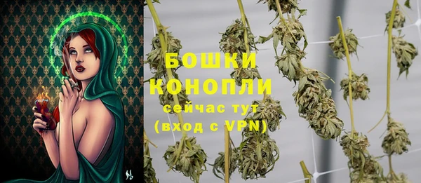 бошки Аркадак